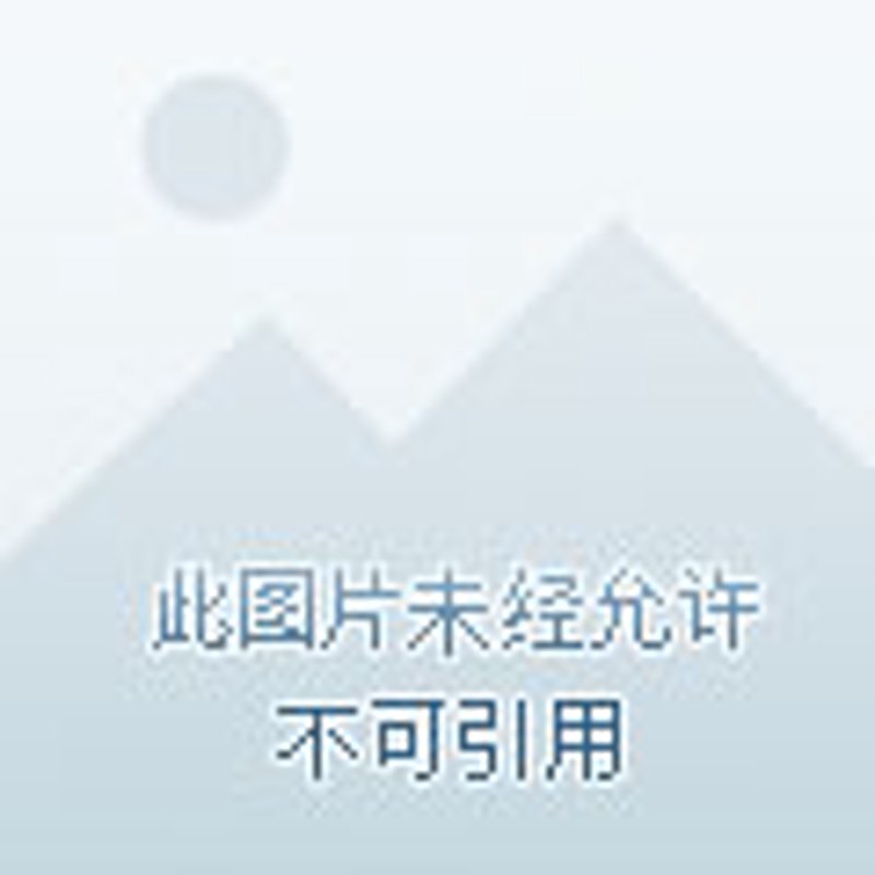 钢材贸易